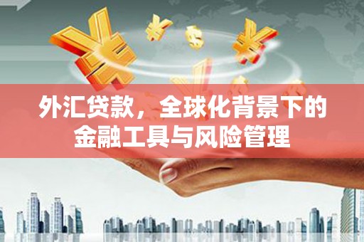 海东外汇贷款，全球化背景下的金融工具与风险管理